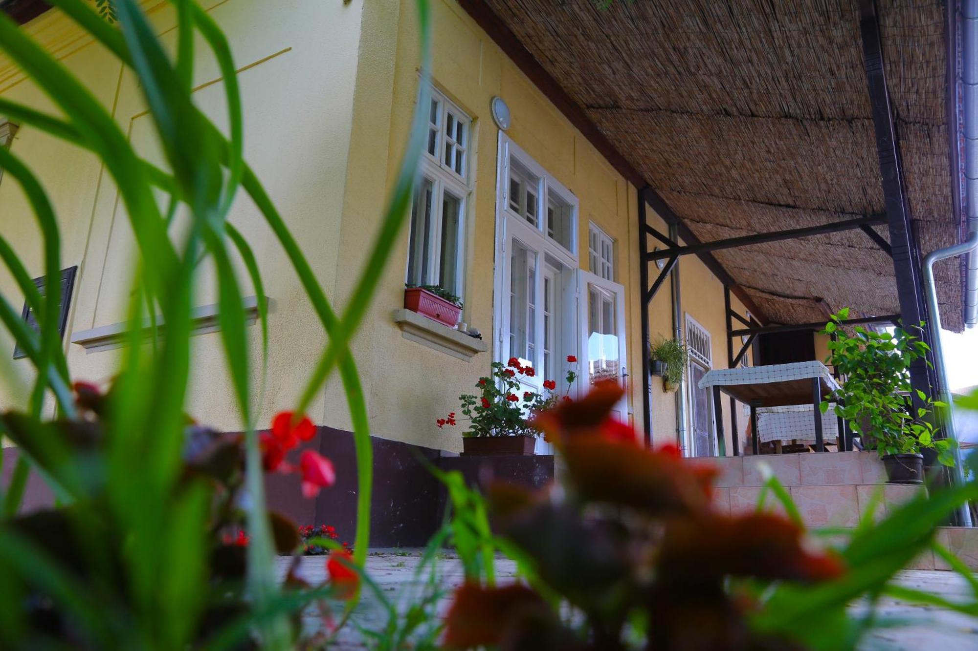 Villa Ricz Palic Bagian luar foto