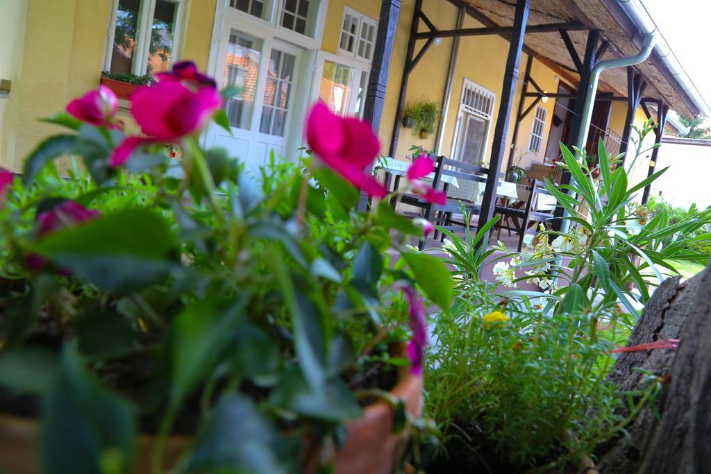 Villa Ricz Palic Bagian luar foto