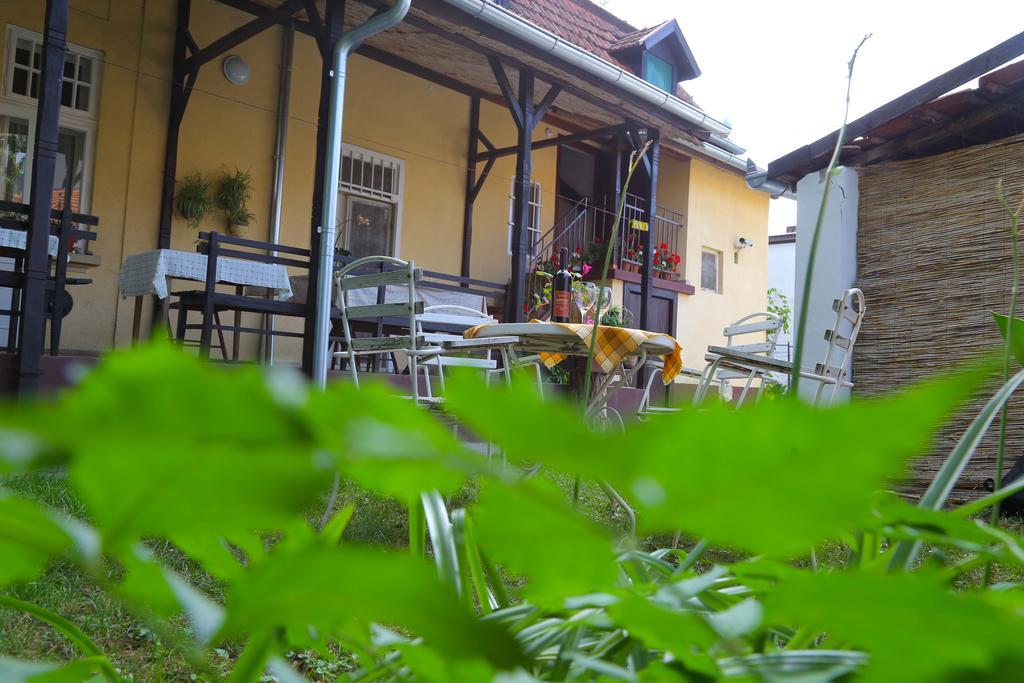 Villa Ricz Palic Bagian luar foto