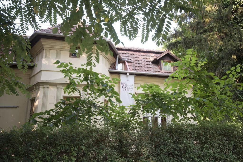 Villa Ricz Palic Bagian luar foto
