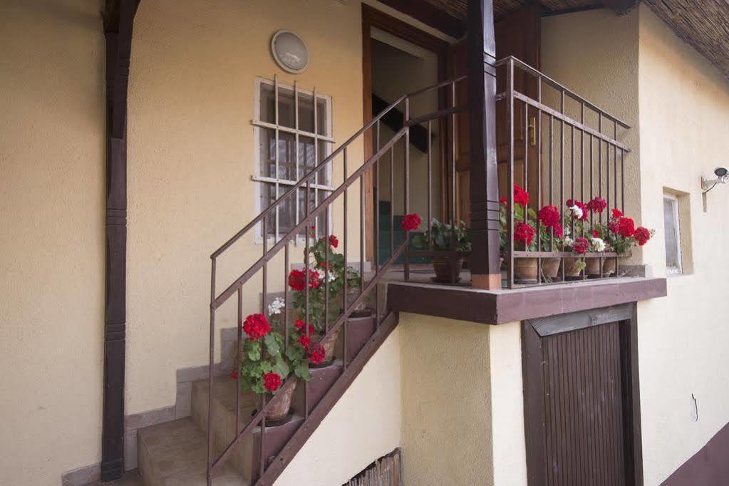 Villa Ricz Palic Bagian luar foto