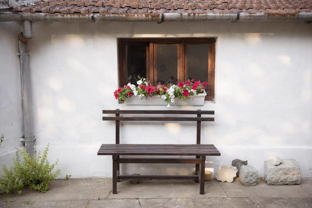 Villa Ricz Palic Bagian luar foto